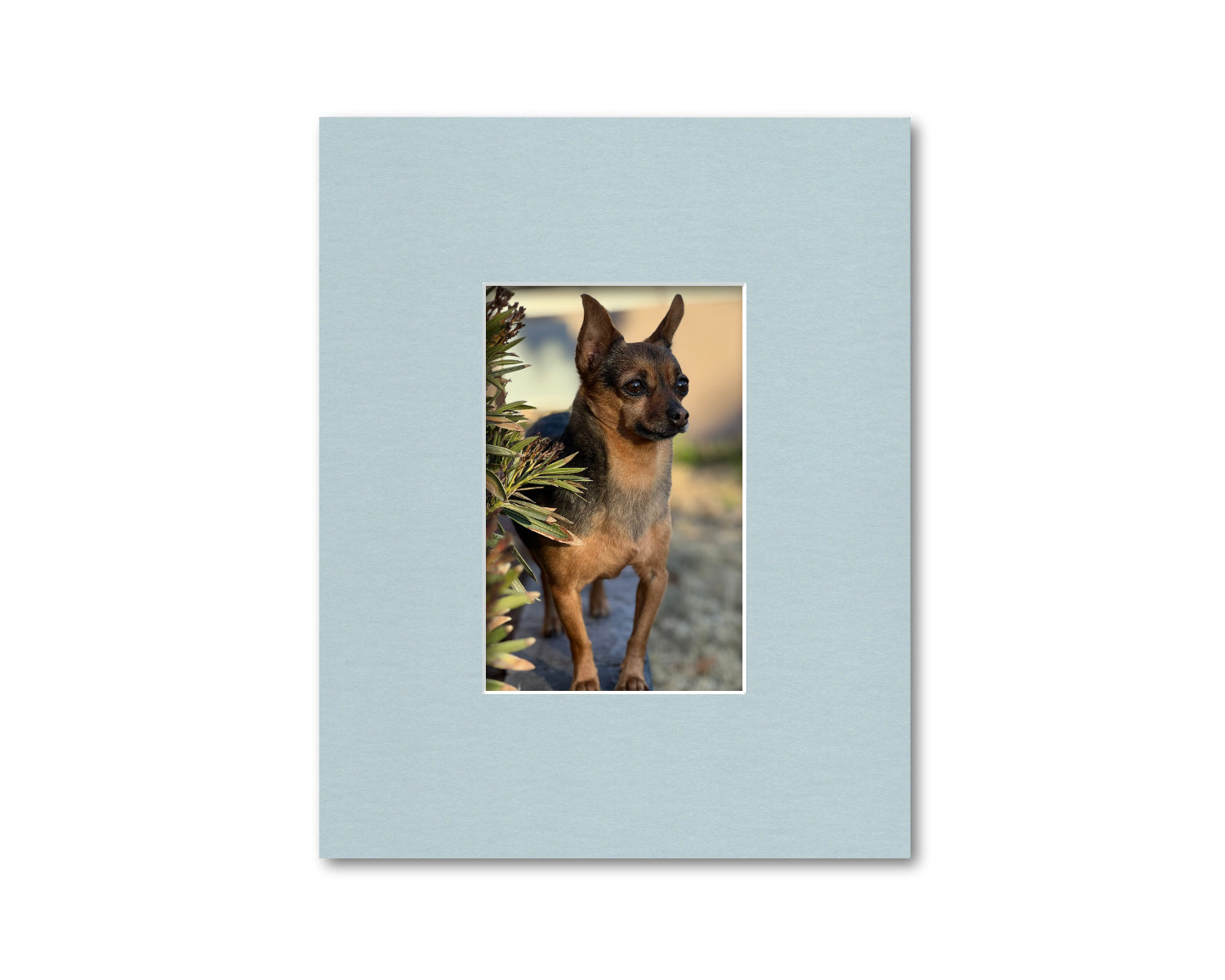 An example of what this 8x10 mat looks like with a 4x6 photo in it.