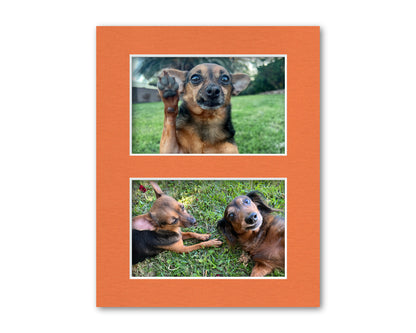 An example of what this 8x10 collage mat looks like with two 4x6 photos in it.