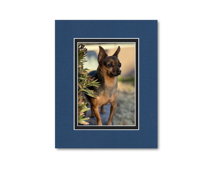 An example of what this 8x10 double mat looks like with a 5x7 photo in it.