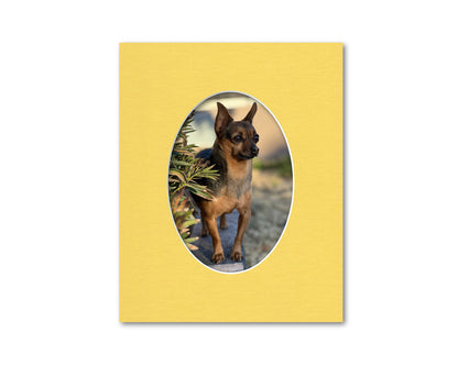 An example of what this 8x10 mat looks like with a 5x7 oval photo in it.