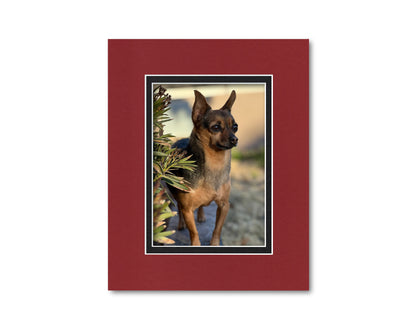 An example of what this 8x10 double mat looks like with a 5x7 photo in it.