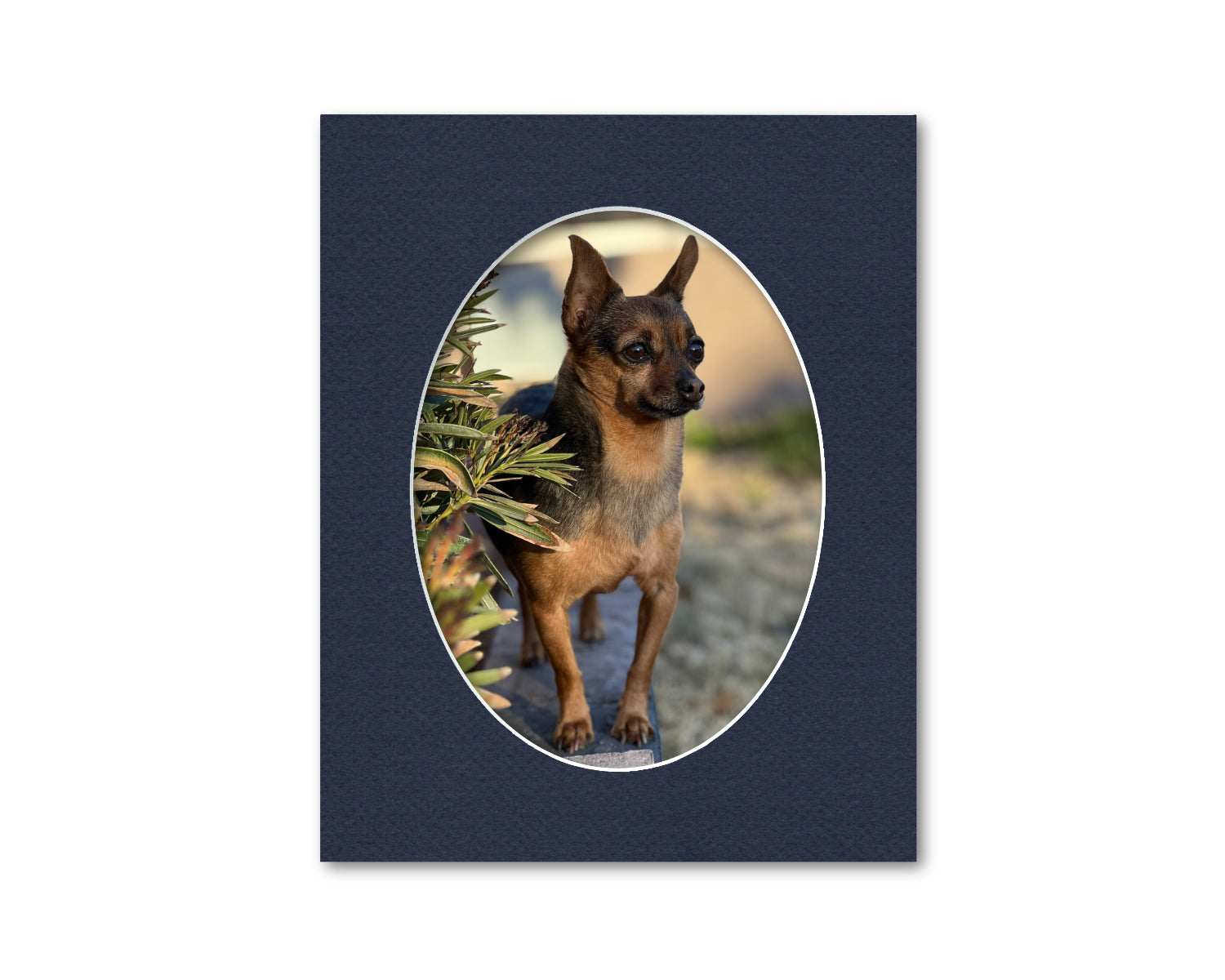 An example of what this 8x10 mat looks like with a 6x8 oval photo in it.
