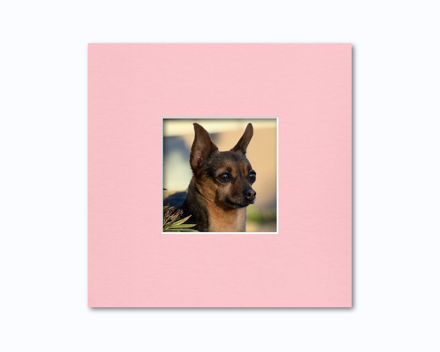 An example of what this 8x8 mat looks like with a 4x4 photo in it.