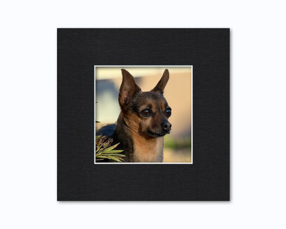 An example of what this 8x8 mat looks like with a 5x5 photo in it.
