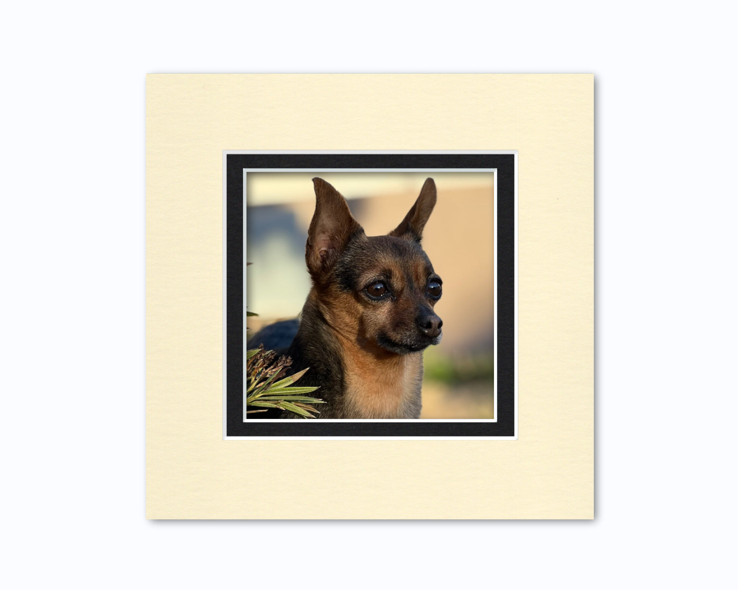 An example of what this 8x8 double mat looks like with a 5x5 photo in it.