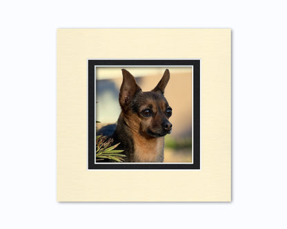 An example of what this 8x8 double mat looks like with a 5x5 photo in it.