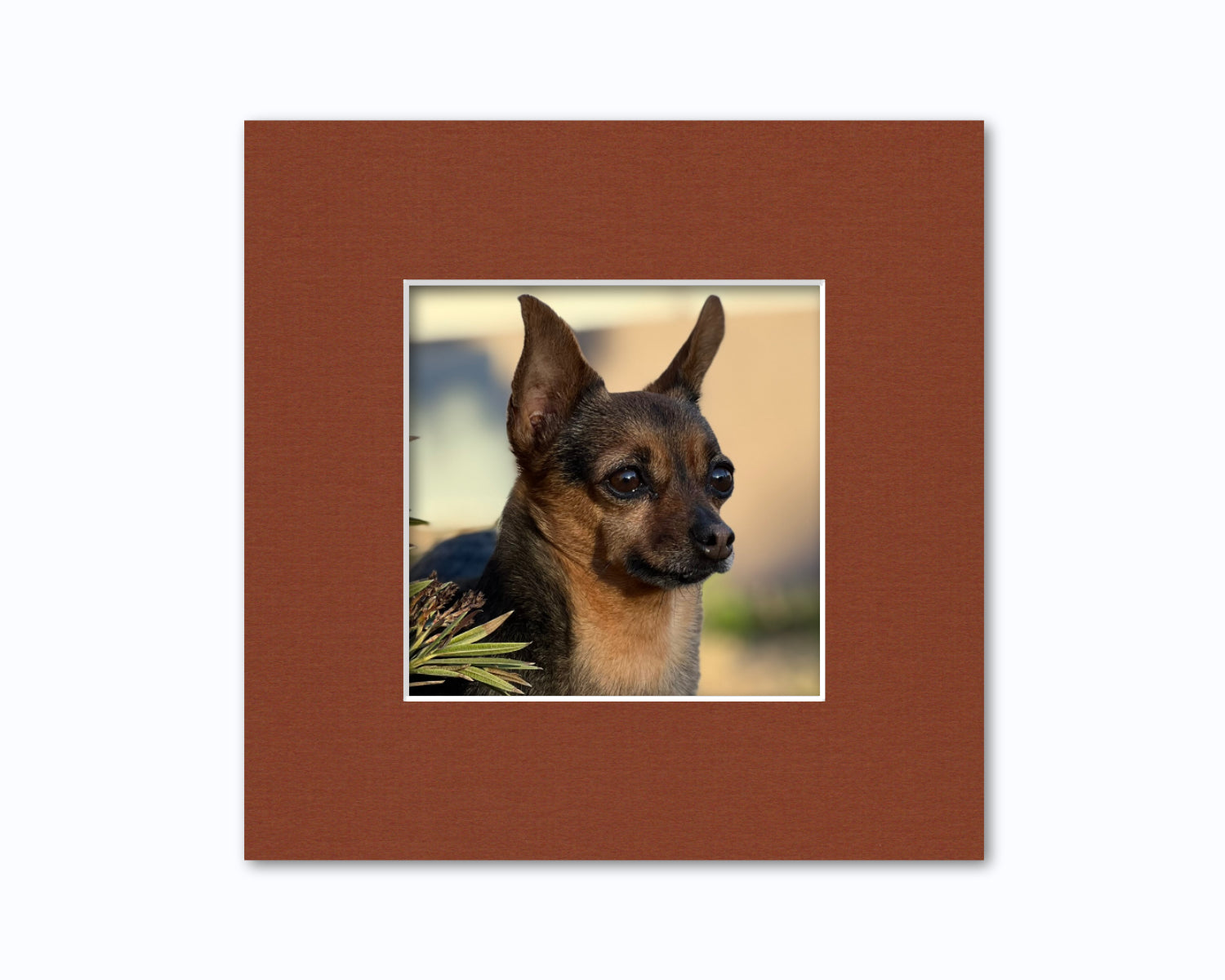 An example of what this 8x8 mat looks like with a 5x5 photo in it.