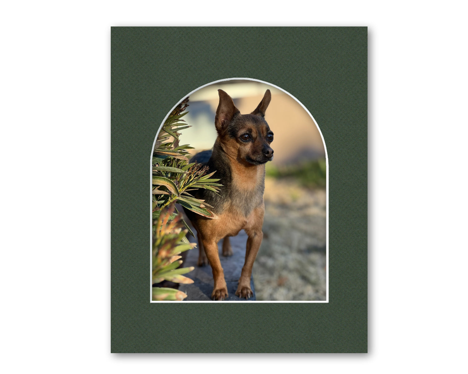 An example of what this arch opening mat looks like with a photo in it.

