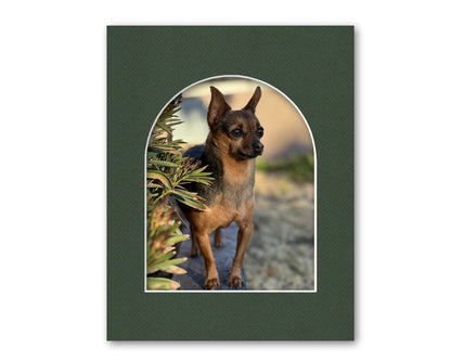 An example of what this arch opening mat looks like with a photo in it.
