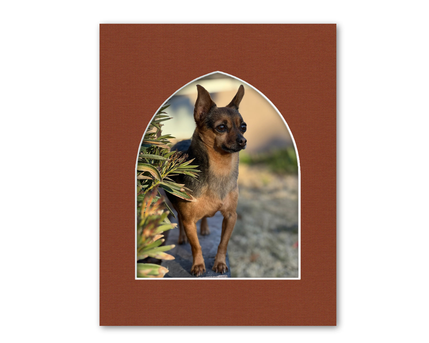 An example of what this gothic opening mat looks like with a photo in it.
