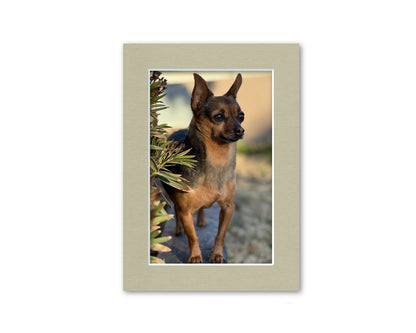 An example of what this 5x7 mat looks like with a photo in it.